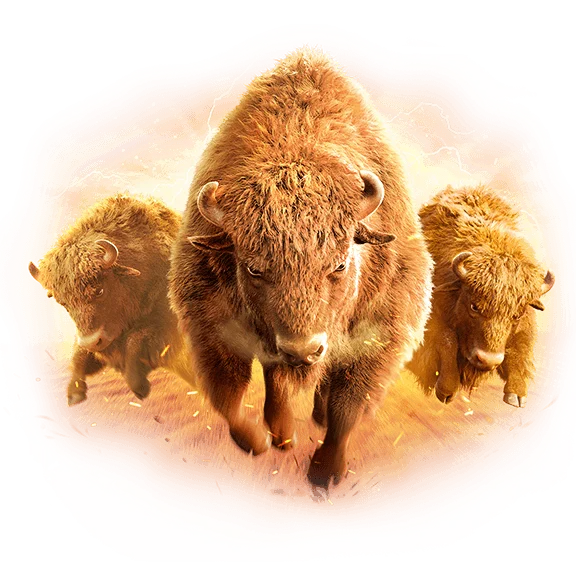 ภาพโปรโมตเกม Buffalo Win